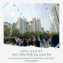 명석면 | 초등학교 운동회 후기 | 3일간 진행된 학년별 맞춤 운동회 현장