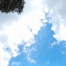 동헌농장 이미지