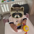 🏡스토케 트립트랩 신상컬러 헤더모브 👶🏻✨💖