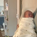 스타오디션노래연습장 이미지