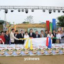 酒 사발 이미지