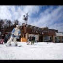 엘리시안 강촌 스키장 이미지