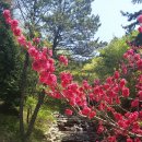 자은임도 이미지