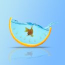 한국수산질병관리원 이미지