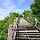 영인면 아산온천로 이미지