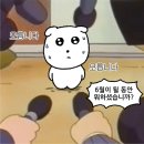 오월의 청춘