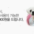 몽펫푸드 이미지