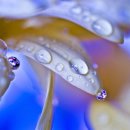 좋은생각 이미지