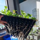 병화농장 이미지