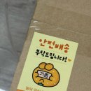 킹스 다이렉트 | [영화] 킹오브킹스 리뷰 및 성경필사북 (초롱이와 하나님 이벤트 당첨!!)