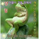 놀부전