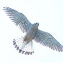 하천(대전천1) 이미지