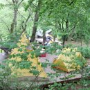 용인자연휴양림 이미지