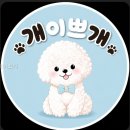개이쁘개 이용 전 체크할 필수 정보