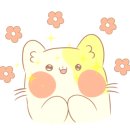 수원-0979 이미지