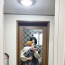롤롤스튜디오
