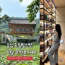 청주 카페 추천 대형 한옥 북카페 도심 속 힐링 스팟 후마니타스 후기