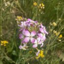 웅천읍 노천리534-1 이미지