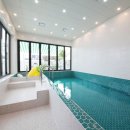 치즈바다 이미지