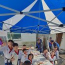 명성 바른자세 태권도 이미지