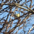 장머리방 이미지