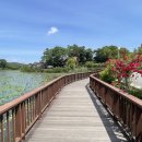 보통리 저수지 1 이미지