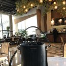 멜리멜로 Daum카페