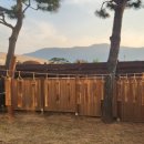 자연의소리 | 자연의소리