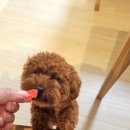 사간의향기 이미지