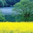 아름다운 그님 이미지