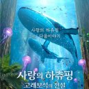 책사랑(책과비디오) 이미지