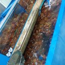 준이수산 이미지