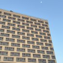 지에스GS25 전주트윈팰리스점 | 전주 호텔 추천 위치와 가성비 모두 잡은 호텔ㅣ글로스터 호텔 전주 디럭스 트윈룸 후기