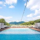 오버더마운틴 이미지