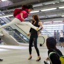 국가대표태풍태권도장 이미지