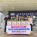 도안면 이미지