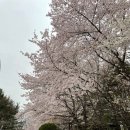 불정어린이공원 이미지