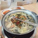 팔당원조칼제비 이미지