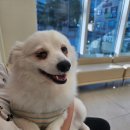 곰곰동물병원 이미지