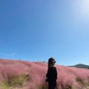 온리더베스트