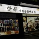 핫독애견백화점 이미지