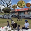 고인돌짬뽕 | [공지] 서울근교 당일치기 | 보령 고인돌+성지짬뽕+우유창고 카페 완벽코스 (feat. 24개월 아기랑)