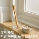 씨드팜 | 고체 치약·칫솔 대체템 비교｜플라스틱 없는 양치 루틴