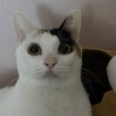 시민pc게임 | [202602] 人生なめんなよ