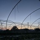 하늘닿은농장 이미지