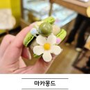 수하길 | 경기광주 마카몽드 예쁜 비주얼에 반한 수제 마카롱 맛집 후기