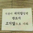 고기프로
