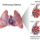 온담동물의료센터 이미지