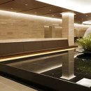 아쿠아필드 고양 이미지