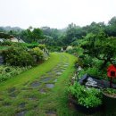 디카시詩 배우기 이미지